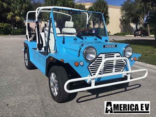 Blue Mokee 4 Passenger Golf Cart affordable golf cart rental, golf cart rent georgia