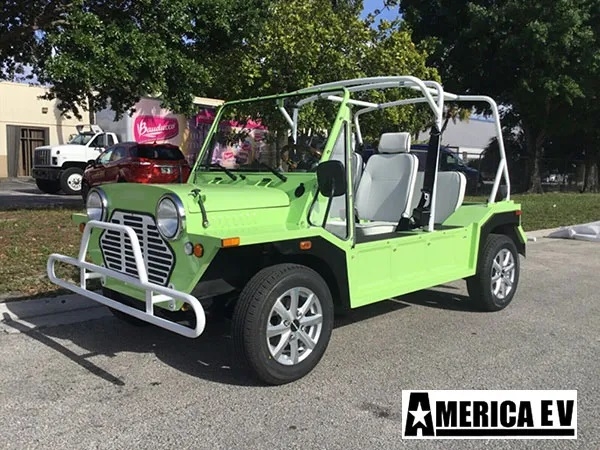 Light Green Mokee 4 Passenger Golf Cart affordable golf cart rental, golf cart rent georgia