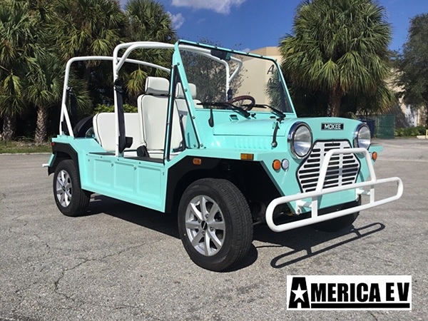 Mint Mokee 4 Passenger Golf Cart affordable golf cart rental, golf cart rent georgia